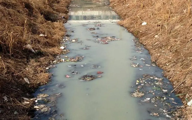 高浓度废水处理方法-生物处理技术